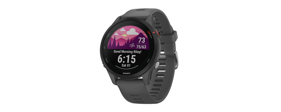 Watch Garmin Forerunner 255 GPS 33mm Graphite Band - Slate Black
